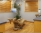 Dental & Medical Interior Design - Shoreline Periodontics, New London, Connecticut 06320