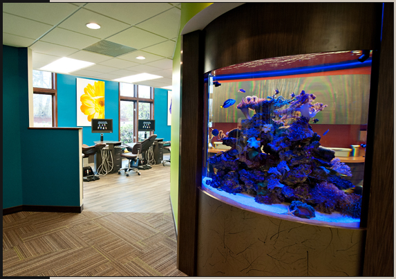 Dental & Medical Interior Design - Connecticut Valley Orthodontics, Vernon, Connecticut 06066